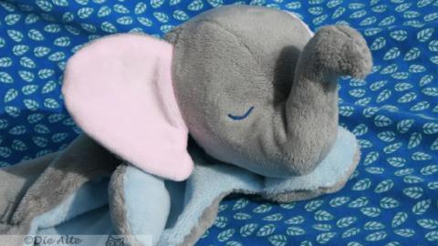 Elefant Karlchens Kopf