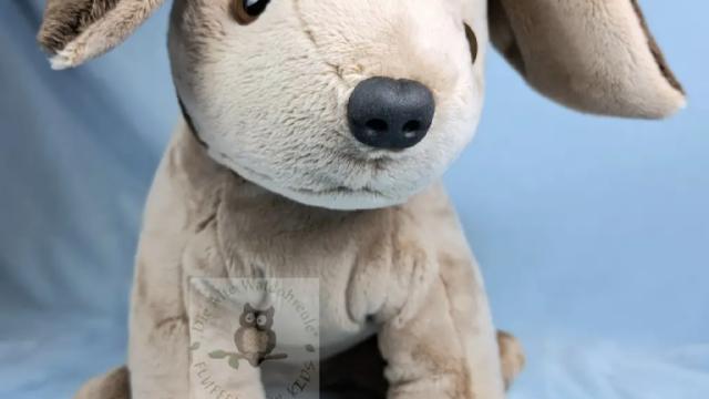 Fluffelhund Krümel von vorne