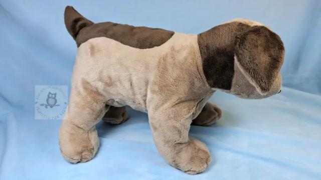 Fluffelhund Krümel Seitenansicht