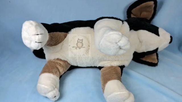 Fluffelhund Krümel von unten