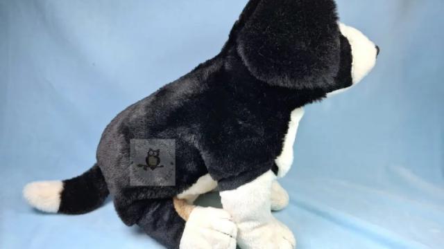 Fluffelhund Krümel in schwarz