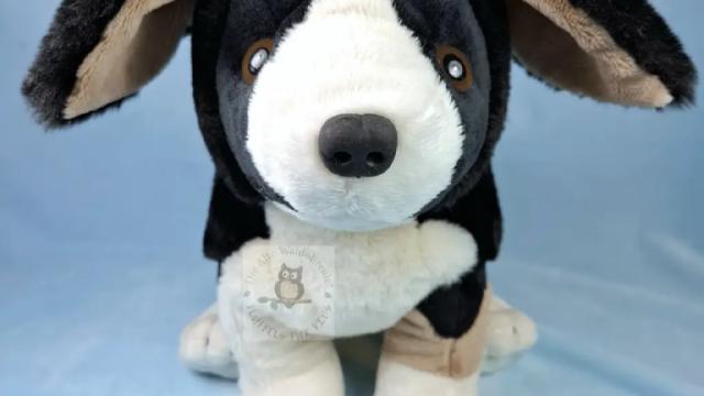 Fluffelhund Krümel in schwarz von vorn