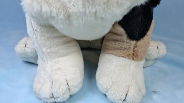 Fluffelhund Krümel Detail Pfoten