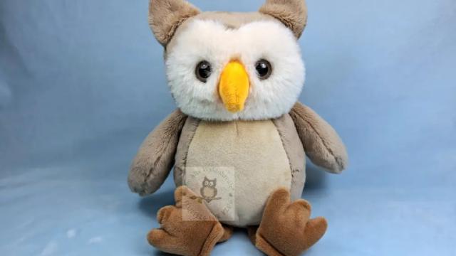 Fluffel_Waldohreule im Sitzen von vorne