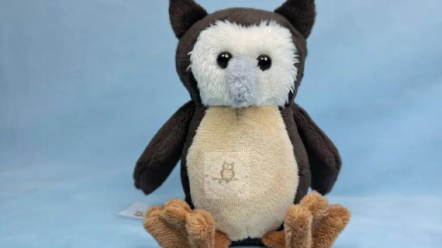 Mini Waldohreule vorne