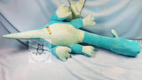 Drache Edward von unten