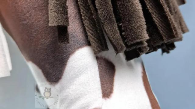 Hobby Horse Holly Nüstern