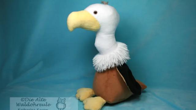 Geier Will von der Seite