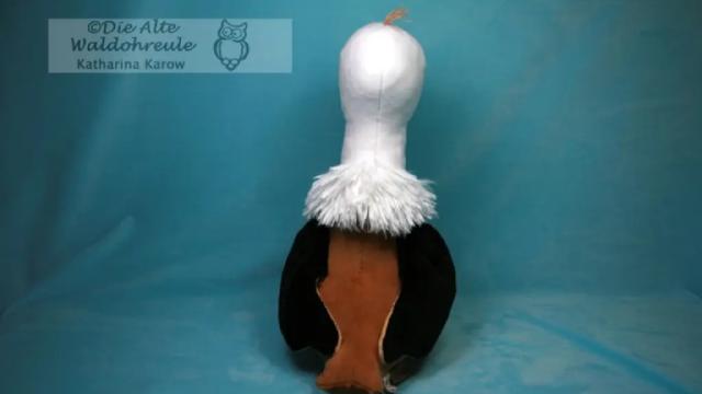 Geier Willi von hinten