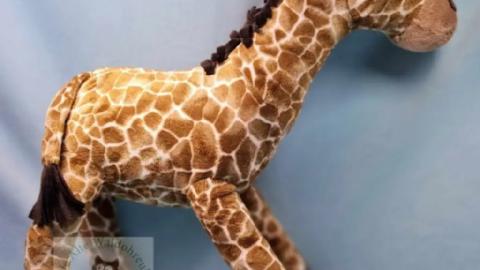 Giraffe Greta steht