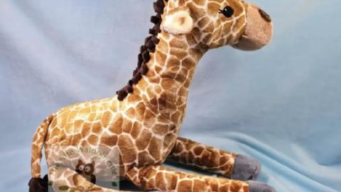 Giraffe Greta sitzt
