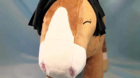 Pferdchen Polly von vorn