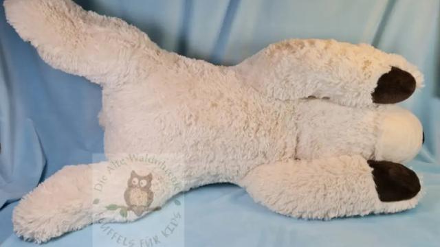 Eisbär Emil von unten